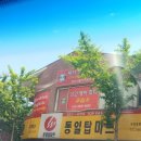 탑영어교습소 | 양산 실용영어 체셔 영어교습소