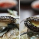 한우정 이미지