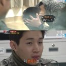 파인애플그룹 이미지