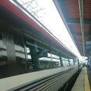 그린샤브&쭈꾸미 이미지