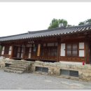 능주향교 은행나무 이미지