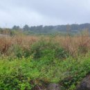 서홍동-9 이미지