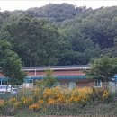 강화원공인중개사사무소 이미지