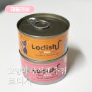 유니온 펫 | 기호성 좋은 음수량 보충 고양이 습식 주식캔 추천 로디시 급여 후기