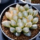 대옥농장 2 이미지