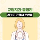경기도 고양시 신원동 교정치과 총정리