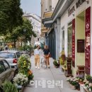 비엔나 이미지