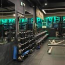 서진헬스 | 마송헬스 후기, 규모부터 기구까지 만족스러웠던 운동 공간