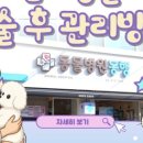 도곡동행동물병원 이미지