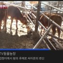 소사랑농장 이미지