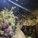 김천컨벤션웨딩뷔페 | 대구 파라다이스웨딩컨벤션 뷔페 후기 : 하객이 말하는 맛·구성·혼잡도 솔직 정리