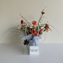 디스베리데이 이미지