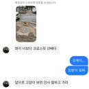 울아빠세탁소 네이버블로그