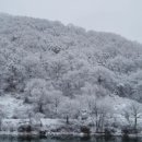 엘아르카 이미지