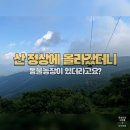 정선농장 | 정선 하이원리조트 케이블카 후기｜운탄고도 마운틴 가격·하이원탑 정상 볼거리