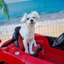 아이조아요양보호소 동탄점 이미지