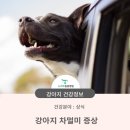 청학동물병원 이미지