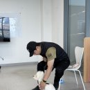 다산 애견훈련소 이미지