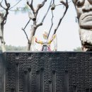 미친서각마을 영농조합 이미지