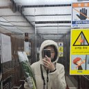 장보는 방법 아세요 ? 우리동네 GS더프레쉬(GS THE FRESH) 공구 해보기 ! | 카톡 오픈채팅 공동구매로...
