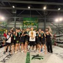 라이프 태권도장 이미지