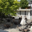 올리브 바닐라 이미지