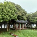 완도 장좌리 당제 및 당굿 이미지