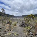 화산공원중앙 이미지