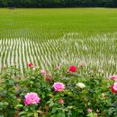 제21회 사진전시회(5.14-5.17) 이미지