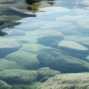 네오웰빙 이미지