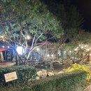 불고기와 석쇠 | 제육석쇠불고기와 생선구이가 미친 공주 맛집 곰골식당(내돈내산)