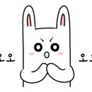 제이엔인터내셔널