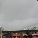 양재대로 156길 이미지