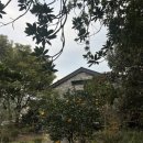 인디언썸머 | 제주도 서귀포 2박3일 숙소 | 제주 감성 숙소 남원 인디언썸머 6번방 추천 | 내돈내산 후기