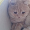 신촌동물병원 이미지