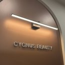 포쉬네일반포서래점 | 반포 네일 추천 시그너스뷰티 반포점에서 이달의 네일아트 받고 온 후