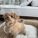 둔포면 아산밸리남로 이미지