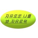 실로암안경 이미지