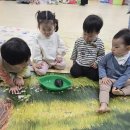 벧엘어린이집 | 4월 쥬니멀 체험 아기양 만나기 체험 후기