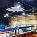 플랫폼몬스터 이미지