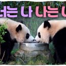 [바오가족] 이모가 이름만 불러줘도 행복한 루랑둥이 루이🐼 이미지