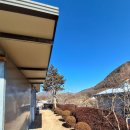 청도강변돌고래펜션 이미지