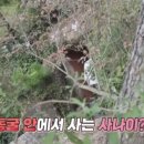 카페겸겸 이미지