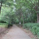 양천고성지 이미지