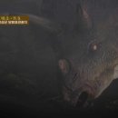 2024경남고성공룡세계엑스포 이미지