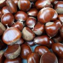 상수 태양광발전소 이미지