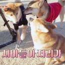 인성 이미지
