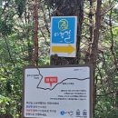 여강길(5코스 황학산길) | 수목원과 산림욕장이 있는 여주여강길 5코스(황학산길) 역방향 걷기 - 2024.05.19
