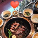 사당살이