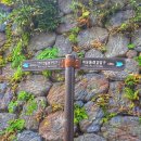 알봉 둘레길 | 울릉도 새로운 명소 울릉울렁다리 가볼만한 출렁다리